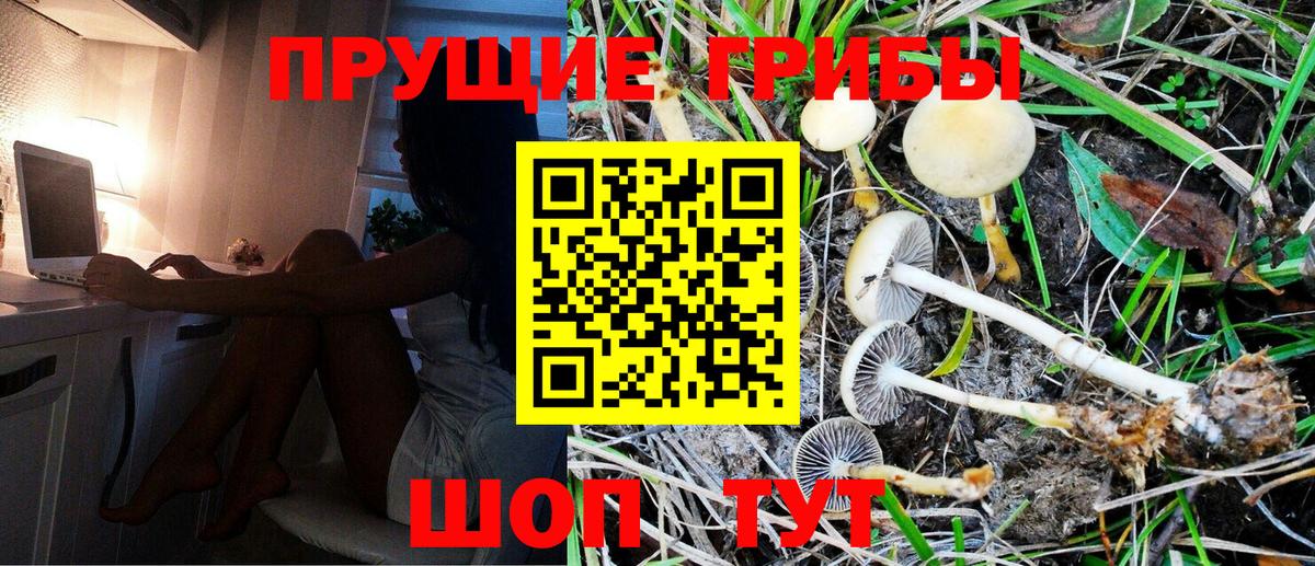 Псилоцибиновые грибы GOLDEN TEACHER Темрюк